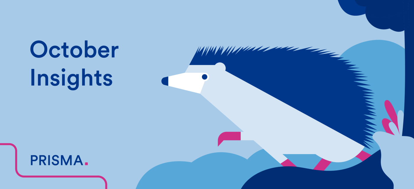 Hedgehog in blue and pink