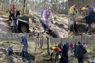 collar of people planting trees in forest